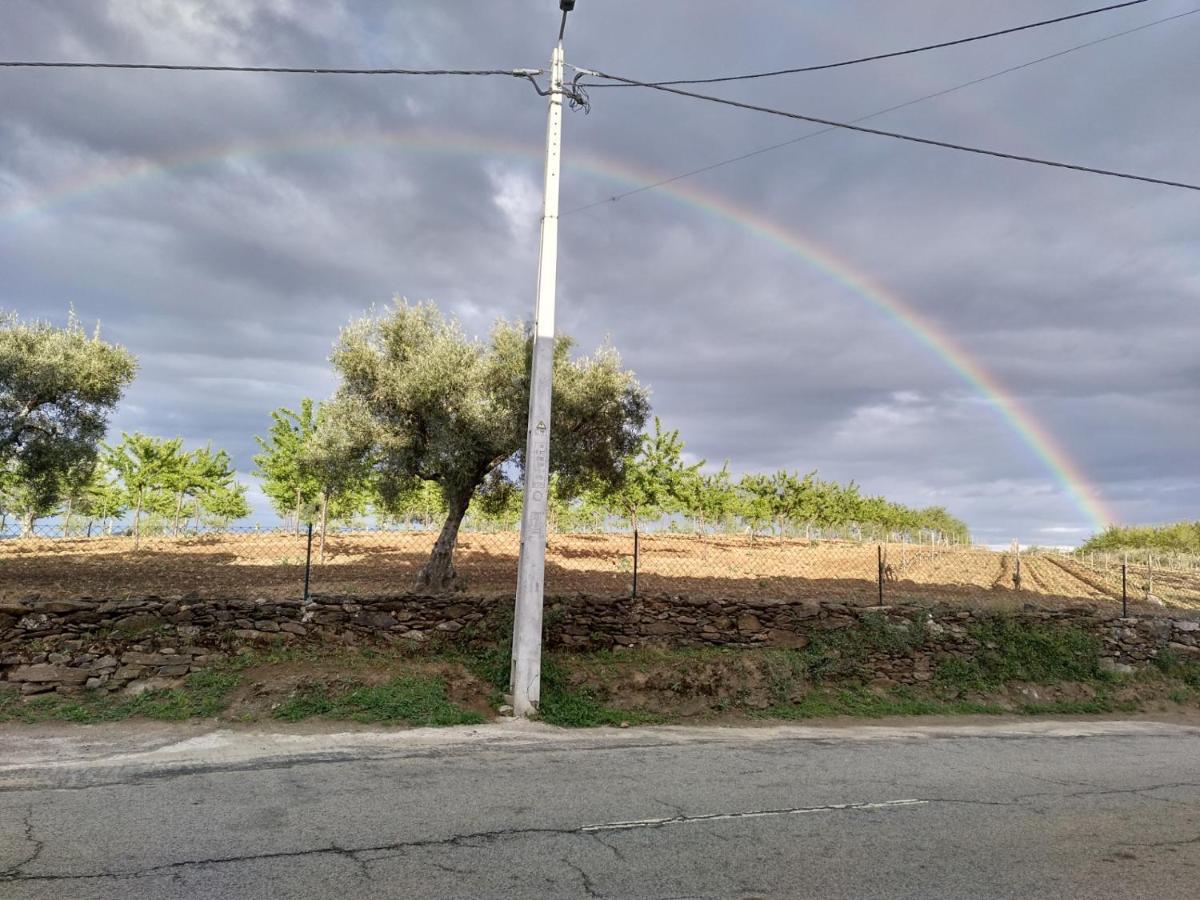 Séjour à la ferme Apolinario Castro Vicente